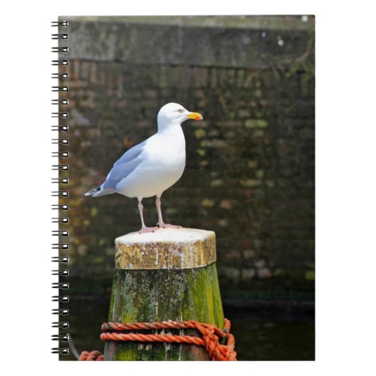 Zeeëend Notitieboek (Voorkant)