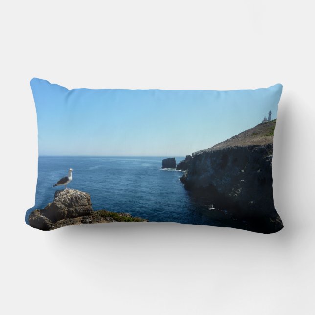 Zeeëend op Anacapa-eiland bij Channel Islands Kussen (Voorkant)