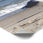 Zeeëend op de Strand Poster (Hoek)