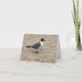 Zeeëend op het Strand in het Zand Bedankkaart (Achterkant)