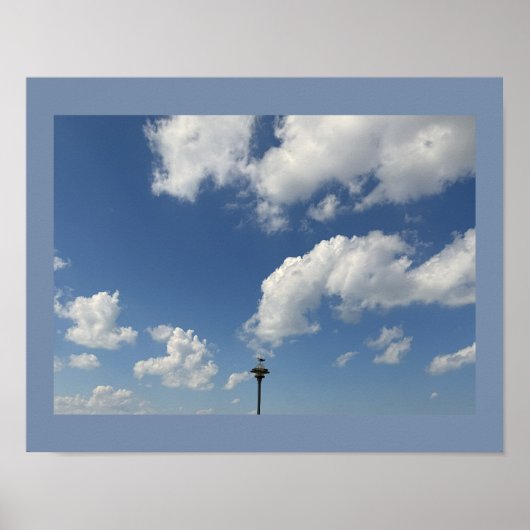 Zeeëend op Licht Poster (Voorkant)
