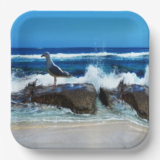 Zeeëend Op Strand Rotsen, Papieren Bordje (Voorkant)
