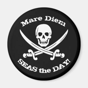 Zeeen de Dag van Pirate Magnet