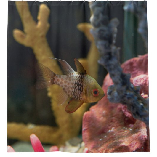 Zeeen Douchegordijn (Voorkant)