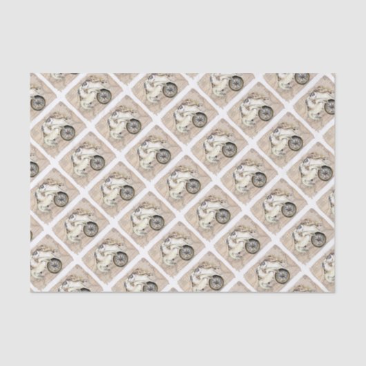 Zeeen draaiboeken tissuepapier (Voorkant)