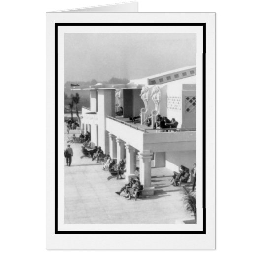 Zeeen in het Sarasota Lido Beach Casino (Voorkant)