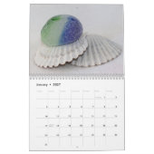 Zeeen kalender - 2021 (Jan 2027)