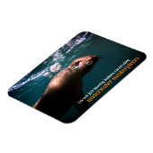 Zeeen leeuw blaast bubbels onder water magneet (Linkerzijde)