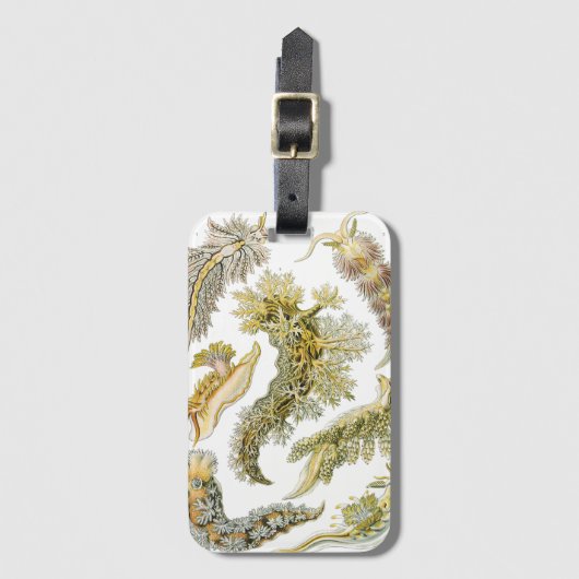 Zeeen naaktslakken van Ernst Haeckel, Nudibranchi Bagagelabel (Voorkant (verticaal))