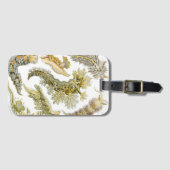 Zeeen naaktslakken van Ernst Haeckel, Nudibranchi Bagagelabel (Voorkant (horizontaal))