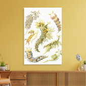 Zeeen naaktslakken van Ernst Haeckel,  Nudibranchi Canvas Afdruk (Insitu (Woonkamer))
