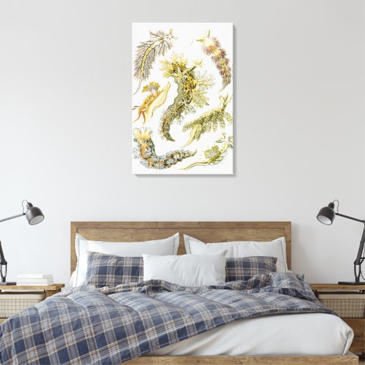 Zeeen naaktslakken van Ernst Haeckel,  Nudibranchi Canvas Afdruk (Insitu (Slaapkamer))
