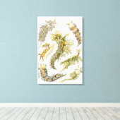 Zeeen naaktslakken van Ernst Haeckel,  Nudibranchi Canvas Afdruk (Insitu (Houten vloer))