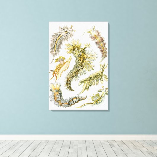 Zeeen naaktslakken van Ernst Haeckel,  Nudibranchi Canvas Afdruk (Insitu (Houten vloer))