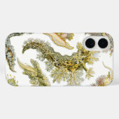 Zeeen naaktslakken van Ernst Haeckel, Nudibranchi Case-Mate iPhone Case (Achterkant (horizontaal))