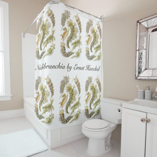 Zeeen naaktslakken van Ernst Haeckel,  Nudibranchi Douchegordijn (In situ)