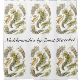 Zeeen naaktslakken van Ernst Haeckel, Nudibranchi Douchegordijn