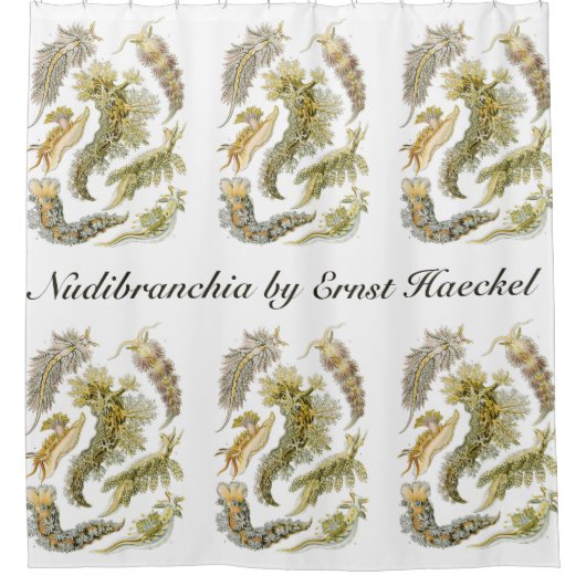 Zeeen naaktslakken van Ernst Haeckel,  Nudibranchi Douchegordijn (Voorkant)