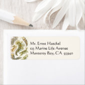 Zeeen naaktslakken van Ernst Haeckel, Nudibranchi Etiket (Insitu)