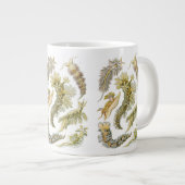 Zeeen naaktslakken van Ernst Haeckel, Nudibranchi Grote Koffiekop (Voorkant rechts)