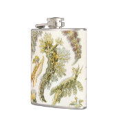 Zeeen naaktslakken van Ernst Haeckel,  Nudibranchi Heupfles