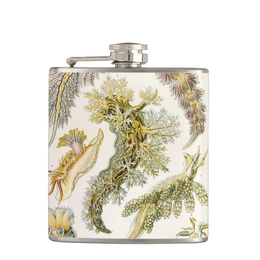 Zeeen naaktslakken van Ernst Haeckel,  Nudibranchi Heupfles (Voorkant)