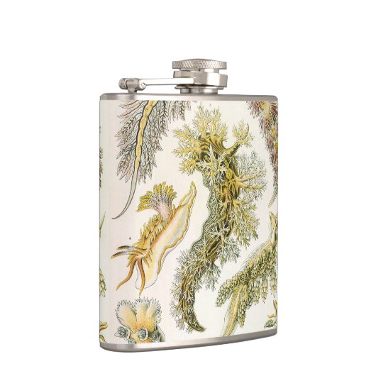 Zeeen naaktslakken van Ernst Haeckel,  Nudibranchi Heupfles (Rechts)