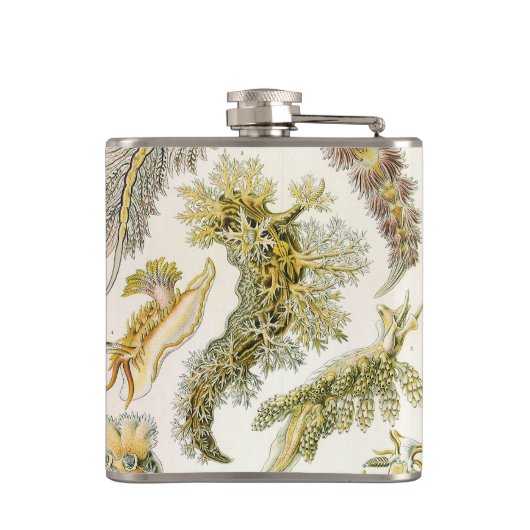 Zeeen naaktslakken van Ernst Haeckel,  Nudibranchi Heupfles (Achterkant)