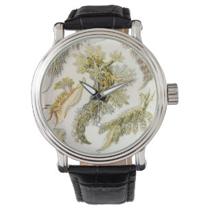 Zeeen naaktslakken van Ernst Haeckel,  Nudibranchi Horloge