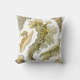 Zeeen naaktslakken van Ernst Haeckel, Nudibranchi Kussen