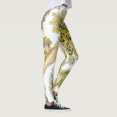 Zeeen naaktslakken van Ernst Haeckel,  Nudibranchi Leggings (Rechts)