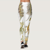 Zeeen naaktslakken van Ernst Haeckel,  Nudibranchi Leggings (Achterkant)