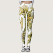Zeeen naaktslakken van Ernst Haeckel,  Nudibranchi Leggings (Voorkant)
