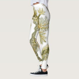 Zeeen naaktslakken van Ernst Haeckel,  Nudibranchi Leggings
