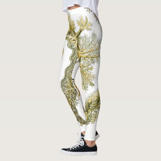 Zeeen naaktslakken van Ernst Haeckel,  Nudibranchi Leggings (Links)