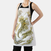 Zeeen naaktslakken van Ernst Haeckel,  Nudibranchi Schort (Insitu)