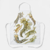 Zeeen naaktslakken van Ernst Haeckel,  Nudibranchi Schort (Voorkant)