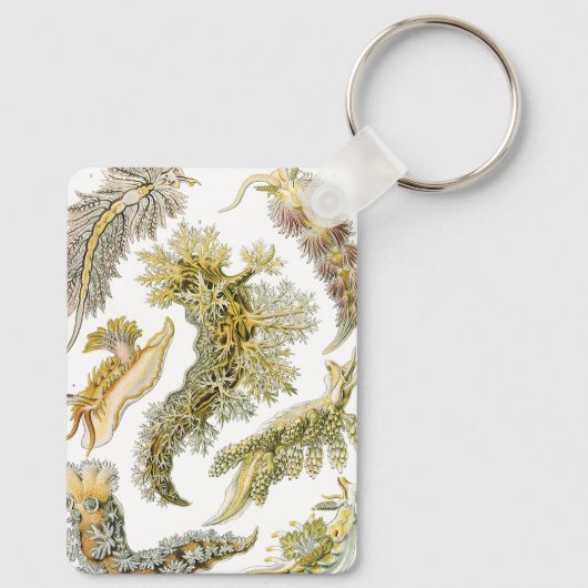 Zeeen naaktslakken van Ernst Haeckel,  Nudibranchi Sleutelhanger (Achterkant)
