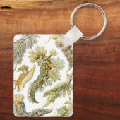 Zeeen naaktslakken van Ernst Haeckel,  Nudibranchi Sleutelhanger (Achterkant)