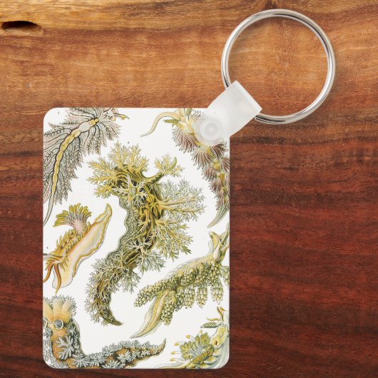 Zeeen naaktslakken van Ernst Haeckel,  Nudibranchi Sleutelhanger (Achterkant)