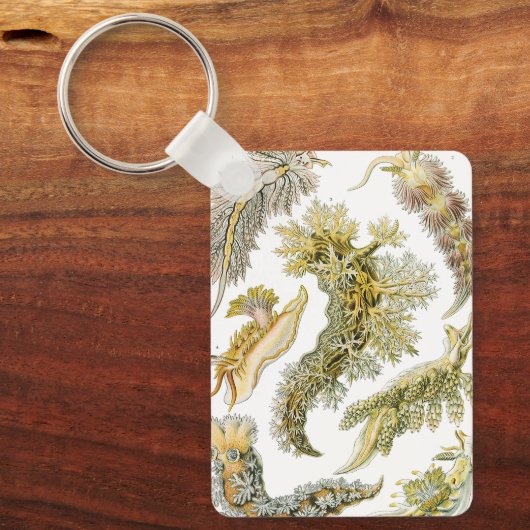 Zeeen naaktslakken van Ernst Haeckel,  Nudibranchi Sleutelhanger (Voorkant)