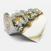 Zeeen naaktslakken van Ernst Haeckel,  Nudibranchi Stropdas (Opgerold)