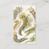 Zeeen naaktslakken van Ernst Haeckel,  Nudibranchi Visitekaartje (Achterkant)