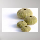 Zeeen poster (Voorkant)