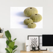 Zeeen poster (Thuiskantoor)