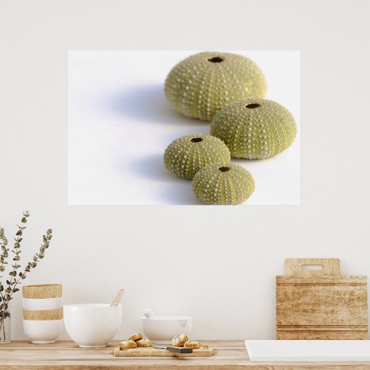 Zeeen poster (Keuken)