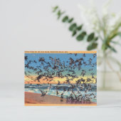 , Zeeen, Rehoboth Beach, Delaware Briefkaart (Staand voorkant)