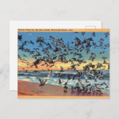 , Zeeen, Rehoboth Beach, Delaware Briefkaart (Voorkant / Achterkant)