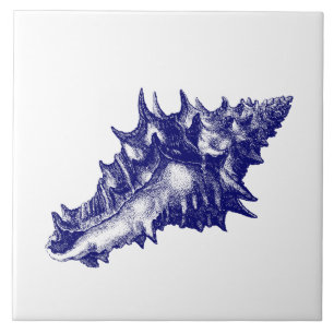 Zeeen schaal Vasum Ceramicum Blauw & Wit Tegeltje