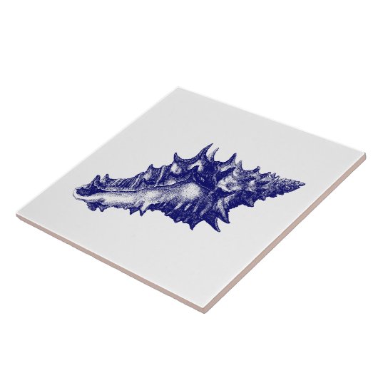 Zeeen schaal Vasum Ceramicum Blauw & Wit Tegeltje (Zijkant)